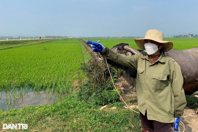 Gi&aacute; đất ở nhiều nơi tăng cao. Một khu đất đấu gi&aacute; l&uacute;a mọc xanh r&igrave; vẫn được "h&eacute;t" gi&aacute; cao ngất ngưởng (Ảnh: Xu&acirc;n Sinh).