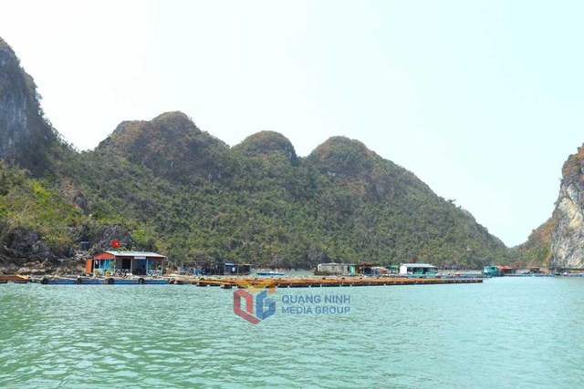Làng chài cống Lão Vọng (Vườn quốc gia Bái Tử Long), nằm trong tuyến du lịch vịnh Bái Tử Long.