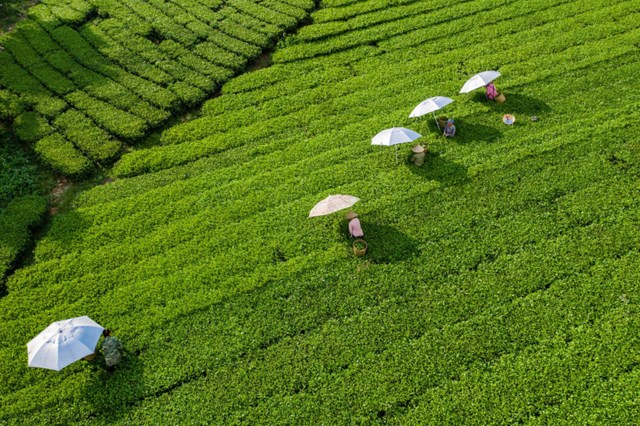 &quot;Đệ nhất danh tr&#224;&quot; v&#224; sứ mệnh vượt ra khỏi bi&#234;n giới - Ảnh 2