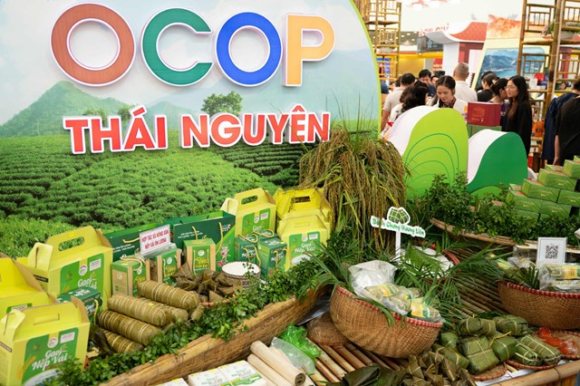 Chiến lược OCOP 5 sao: Đòn bẩy định vị lại giá trị nông sản Thái Nguyên - Ảnh 2