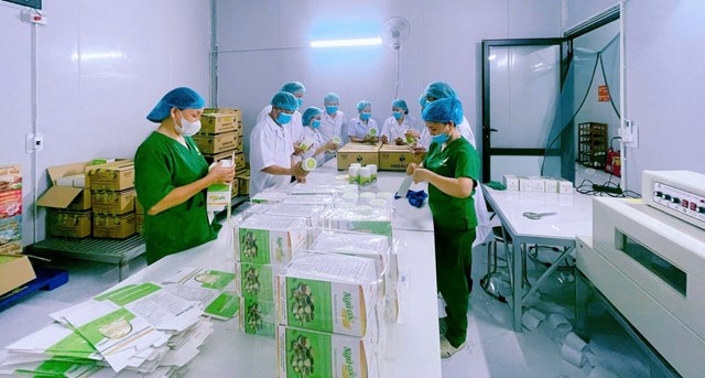 C&ocirc;ng nh&acirc;n lu&ocirc;n thực hiện tốt quy tr&igrave;nh đảm bảo vệ sinh, an to&agrave;n thực phẩm trong mọi c&ocirc;ng đoạn