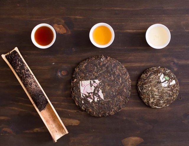 Trà Pu Erh là loại trà lên men tự nhiên, được làm từ giống cây trà lá lớn Camellia sinensis var. assamica.
