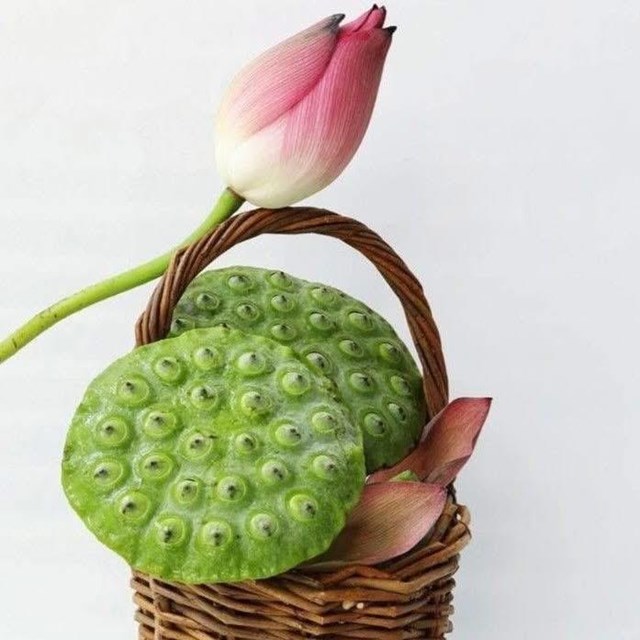 Giải nhiệt mùa hè với đồ uống từ sen và dừa đầy sáng tạo - Ảnh 1