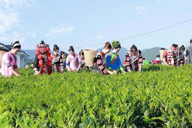 Thái Nguyên và tham vọng nâng tầm du lịch từ hương vị đệ nhất danh trà - Ảnh 2