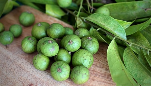 Nước sấu và ký ức phố thị những ngày nắng  - Ảnh 1