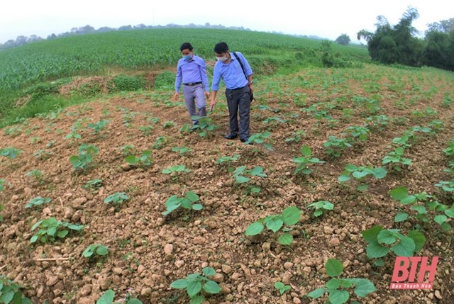 Bản tin bất động sản 17/4: Gi&#225; đất ven s&#244;ng “nhảy m&#250;a”? - Ảnh 1