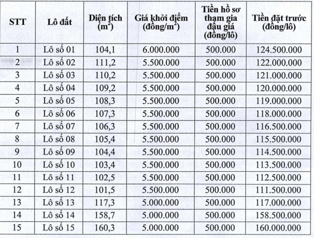 Th&#225;i B&#236;nh: Sắp đấu gi&#225; 18 l&#244; đất tại huyện Đ&#244;ng Hưng với mức gi&#225; khởi điểm từ 5 triệu đồng/m2 - Ảnh 1