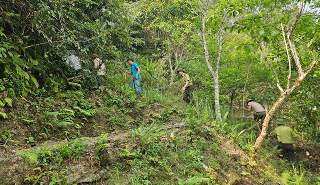 Nông nghiệp hữu cơ Lai Châu: Hóa giải bài toán thực chất để đặc sản vùng cao bứt phá - Ảnh 2