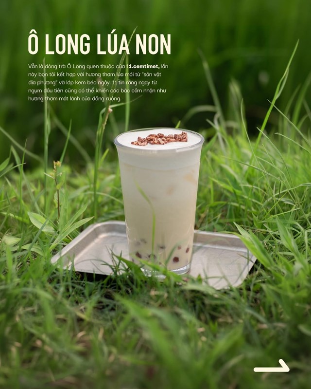 Sáng tạo đồ uống từ cây lúa: Sự lên ngôi của giá trị bản địa  - Ảnh 3