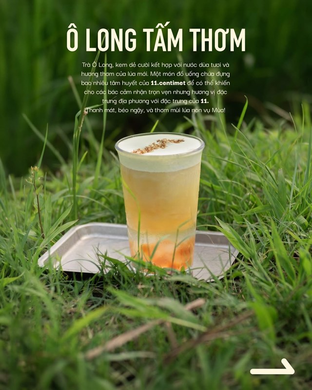 Sáng tạo đồ uống từ cây lúa: Sự lên ngôi của giá trị bản địa  - Ảnh 5