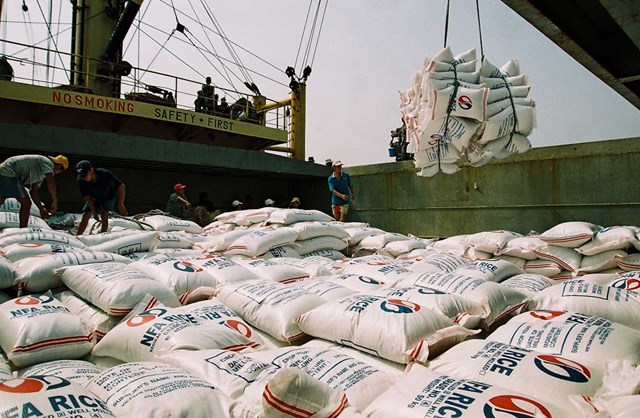 Giá gạo xuất khẩu loại 5% tấm của Việt Nam được chào bán ở mức 495 – 500 USD/tấn.