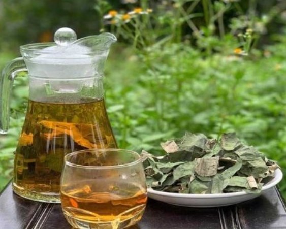 Tr&#224; thảo mộc: B&#237; quyết sống khỏe cho người cao tuổi m&#249;a nắng n&#243;ng - Ảnh 1