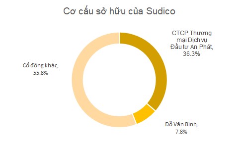 Doanh nghiệp n&#224;o đầu tư hơn 4.200 tỷ đồng để sở hữu gần 37% vốn Sudico? - Ảnh 1