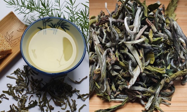 Người mới uống trà Shan tuyết Mộc Châu có thể cảm thấy vị chát hiện rõ đầu tiên, nhưng nếu kiên trì thưởng thức, sẽ thấy vị ngọt lặng lẽ trỗi dậy, chiếm lĩnh toàn bộ khoang miệng.