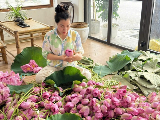 Tr&#224; sen T&#226;y Hồ – M&#243;n qu&#224; tinh tế cho du kh&#225;ch y&#234;u H&#224; Nội - Ảnh 2