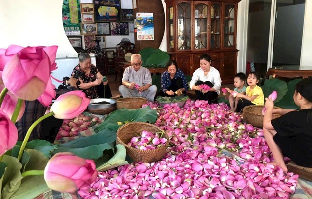 Tr&#224; sen T&#226;y Hồ – M&#243;n qu&#224; tinh tế cho du kh&#225;ch y&#234;u H&#224; Nội - Ảnh 1