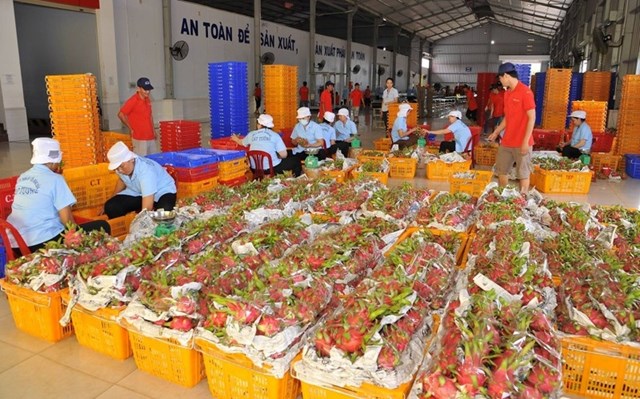 Trung Quốc vẫn là thị trường lớn của nông sản Việt - Ảnh 1