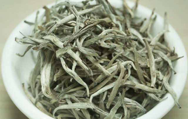 Bạch trà có tác dụng rất tốt đối với sức khỏe tim mạch.