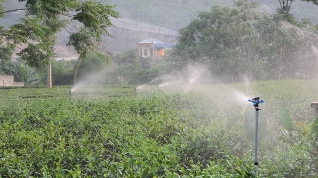 Khoa học c&#244;ng nghệ - Đ&#242;n bẩy  cho sự thăng hoa của ng&#224;nh ch&#232; Việt Nam - Ảnh 1