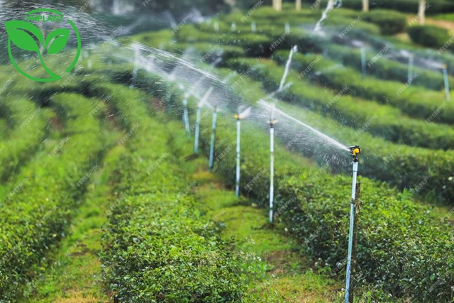 Khoa học c&#244;ng nghệ - Đ&#242;n bẩy  cho sự thăng hoa của ng&#224;nh ch&#232; Việt Nam - Ảnh 2