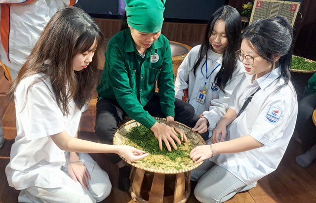 Học sinh Trường THPT Gang Thép (Thái Nguyên) hào hứng với trải nghiệm thực tế làm chè.