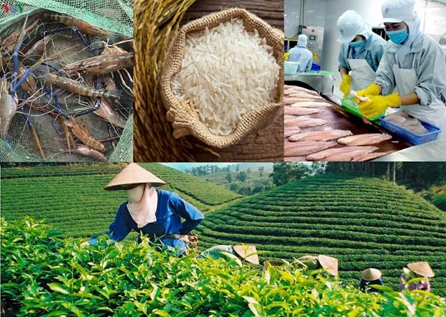  Top c&#244;ng ty xuất nhập khẩu n&#244;ng sản h&#224;ng đầu Việt Nam - Ảnh 2