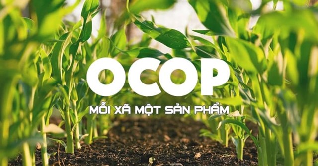 OCOP: Đ&aacute;nh thức tiềm năng từ những sản vật qu&ecirc; hương. &nbsp;