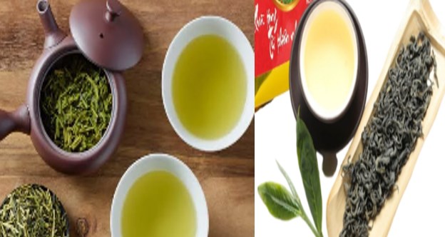 Chè Shan tuyết 1 tôm 2 lá vùng cao Hà Giang không chỉ quyến rũ bởi hương vị thuần khiết mà còn mang lại nhiều lợi ích vàng cho sức khỏe.