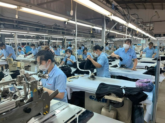 Doanh nghiệp tư nh&#226;n: Trụ cột mới của nền kinh tế Việt Nam - Ảnh 1