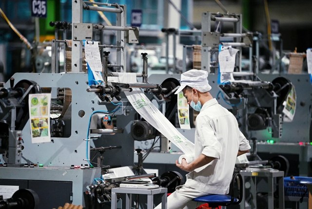 Doanh nghiệp tư nh&#226;n Việt: Sẵn s&#224;ng vươn ra biển lớn - Ảnh 1