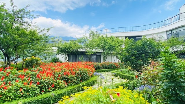 Trải nghiệm kỳ nghỉ hè trọn vẹn tại Pao’s Sapa Leisure Hotel mùa nước đổ  - Ảnh 5