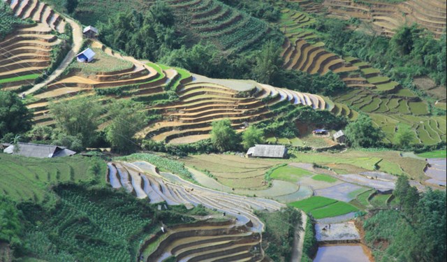 Trải nghiệm kỳ nghỉ hè trọn vẹn tại Pao’s Sapa Leisure Hotel mùa nước đổ  - Ảnh 4