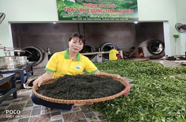 Phát triển chuỗi giá trị chè Tân Cương: Hướng đi từ những mô hình canh tác bền vững - Ảnh 1