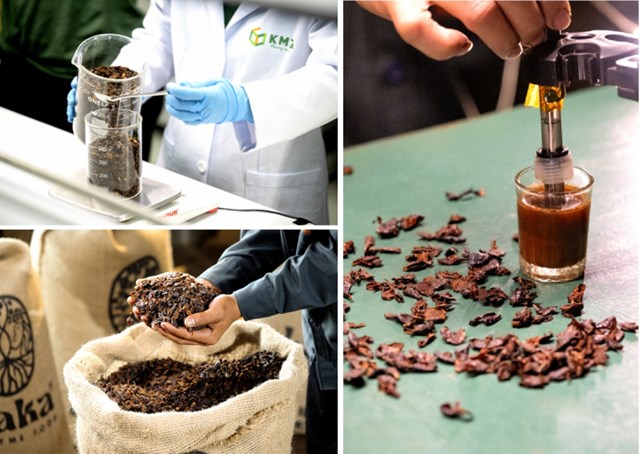 Tiềm năng mới từ vỏ quả c&#224; ph&#234;: Doanh nghiệp L&#226;m Đồng xuất khẩu tr&#224; Cascara sang Nhật Bản - Ảnh 2