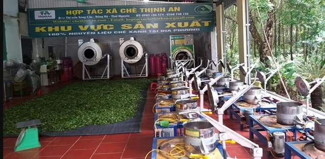 Hợp t&aacute;c x&atilde; ch&egrave; Thịnh An&nbsp; &nbsp;
