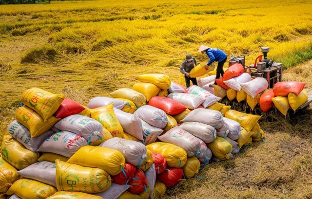 N&#244;ng sản Việt Nam tỏa s&#225;ng tr&#234;n trường quốc tế - Ảnh 1