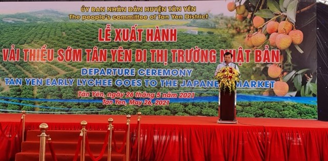 Bắc Giang: Vải thiều “Sạch – Kh&#244;ng bị t&#225;c động của dịch Covid-19&#39; - Ảnh 1