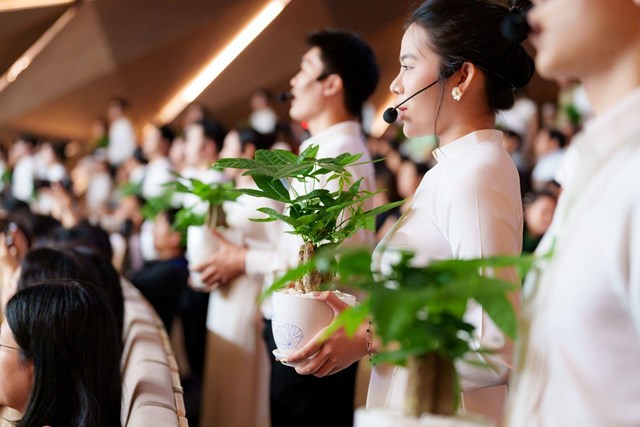 Những c&acirc;y kim ng&acirc;n được chuẩn bị để gửi tặng kh&aacute;ch mời sau đ&ecirc;m diễn, như một lời ch&uacute;c về sự an y&ecirc;n, thịnh vượng v&agrave; hạnh ph&uacute;c d&agrave;i l&acirc;u. &nbsp;