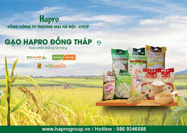 Gạo Hapro Đồng Th&#225;p nhiều năm được vinh danh “H&#224;ng Việt Nam được người ti&#234;u d&#249;ng y&#234;u th&#237;ch” - Ảnh 1