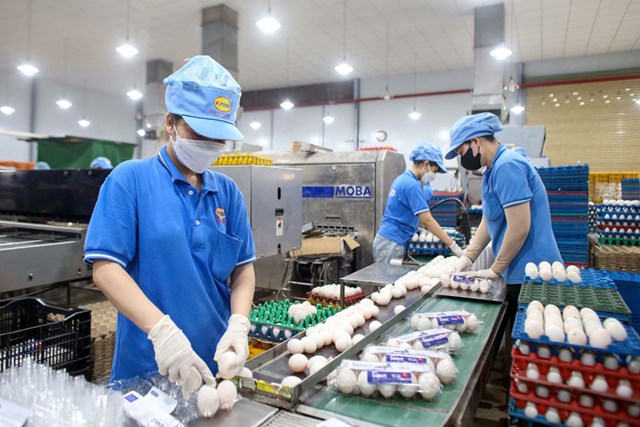 Khi doanh nghiệp nhỏ đ&#243;ng vai tr&#242; lớn trong nền kinh tế - Ảnh 1