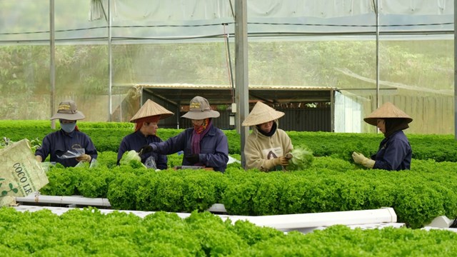 Vai tr&#242; của doanh nghiệp trong x&#226;y dựng thị trường thực phẩm sạch - Ảnh 1