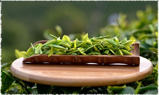 Hương vị trà chịu ảnh hưởng trực tiếp từ vùng đất trồng trà.