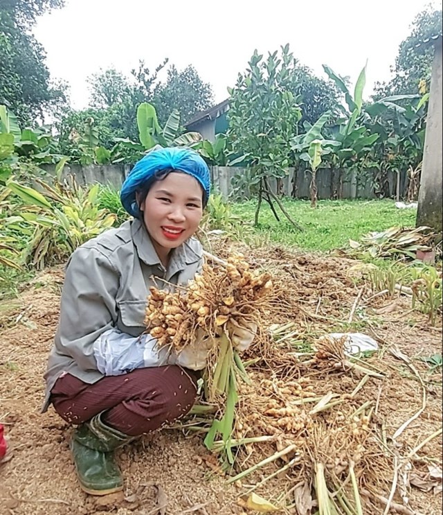 Doanh nh&#226;n Thu Hằng với h&#224;nh tr&#236;nh ph&#225;t triển dược liệu th&#224;nh sản phẩm OCOP tr&#234;n qu&#234; hương - Ảnh 1