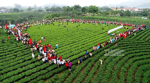 Không chỉ nổi danh với chè, Thái Nguyên còn ghi dấu lịch sử, gìn giữ văn hóa và vươn lên thành trung tâm kinh tế công nghiệp miền Bắc. Ảnh minh họa