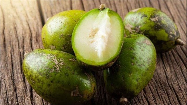 Cóc và làn sóng sáng tạo mới trong ngành đồ uống hiện đại - Ảnh 1
