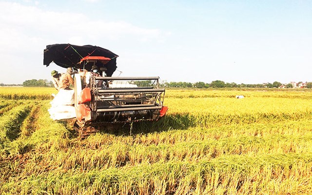 Bản tin n&#244;ng sản 3/6: N&#244;ng nghiệp tuần ho&#224;n - hướng đi tất yếu - Ảnh 2