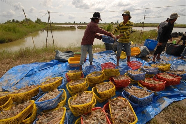 Bản tin n&#244;ng sản 7/6: Hướng đi đ&#250;ng của nền n&#244;ng nghiệp hiện đại - Ảnh 2