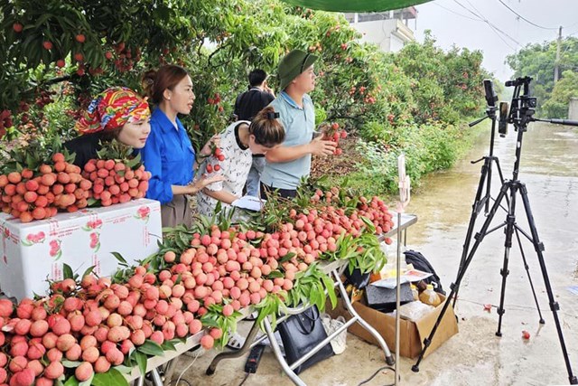 N&#244;ng sản v&#224; thương mại điện tử: Bắt nhịp hay bị bỏ lại ph&#237;a sau? - Ảnh 1