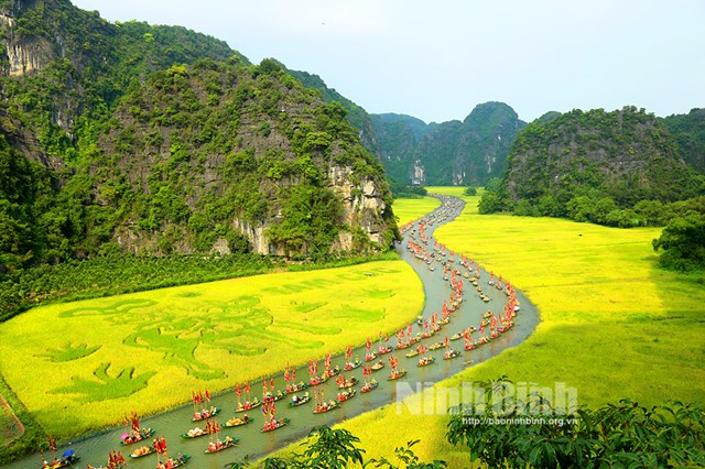 Trong Tuần Du lịch 2024, cánh đồng lúa và nghi lễ nông nghiệp thờ Thần Nông là những điểm nhấn thu hút nhân dân và du khách gần xa. Ảnh nguồn internet