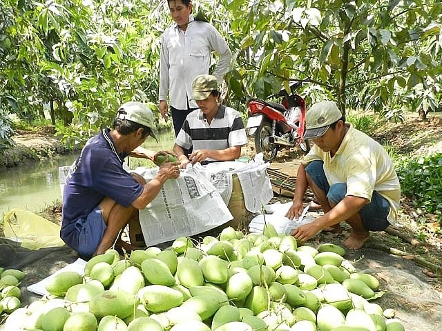 Bản tin n&#244;ng sản 10/6: Xuất nhập khẩu 5 th&#225;ng tiếp đ&#224; tăng, thặng dư thương mại gần 450 triệu USD - Ảnh 2